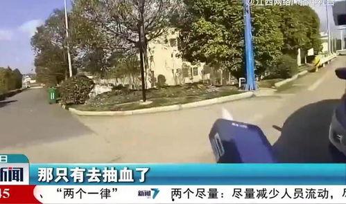 江西抚州爆料事件最新,真相与争议交织的悬疑剧