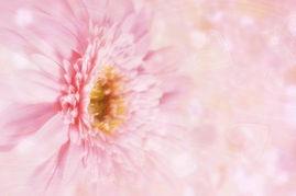 爱的怒放在线观看,一场跨越时空的深情演绎